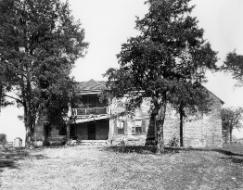 Buena Vista