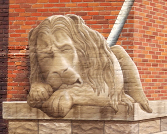 DSC03737a