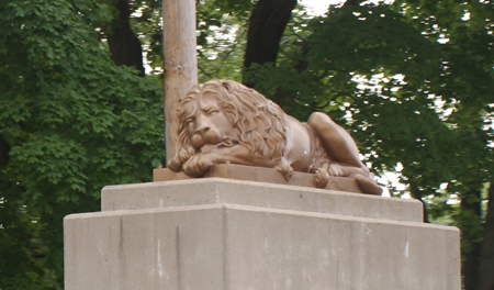 DSC03803a