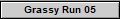 Grassy Run 05
