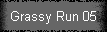 Grassy Run 05