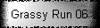 Grassy Run 06