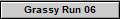 Grassy Run 06
