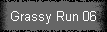 Grassy Run 06