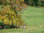 DSCF8331.jpg