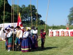 Medieval Pike demonstration
