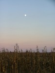 DSCF6155.JPG