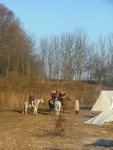 DSCF6185.JPG