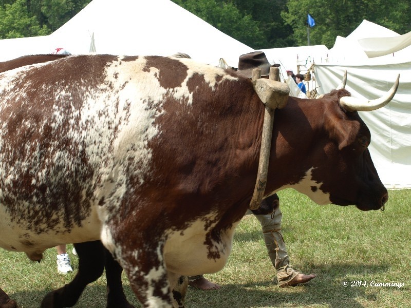 P8301626