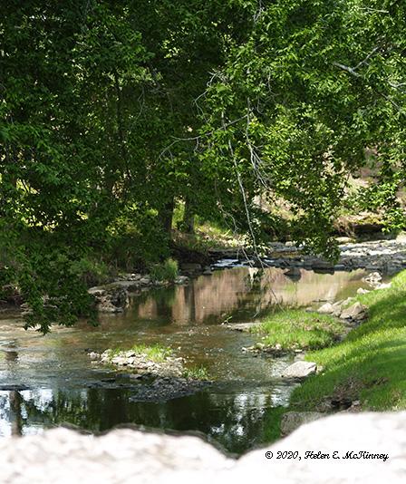 Beargrass Creek medium