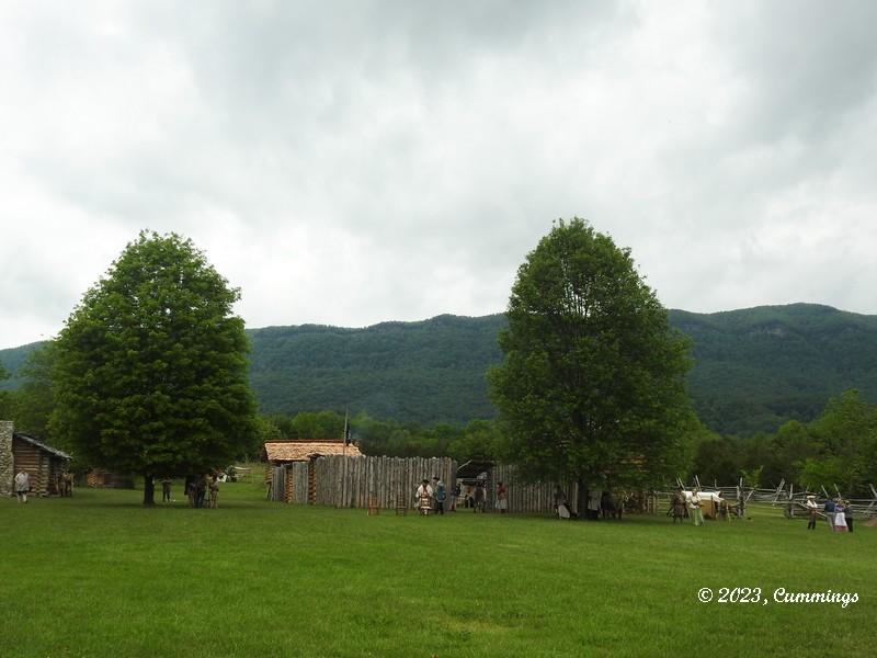 DSCN1154
