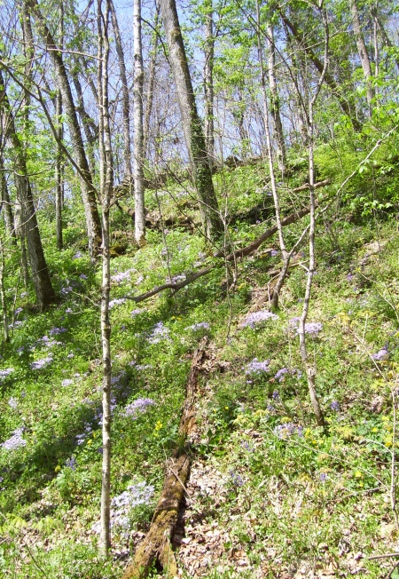 Marble Creek trek  KH 026