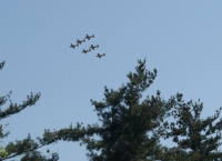 P4174960