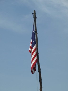 P5198602