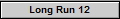 Long Run 12