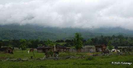 DSC04259