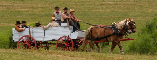 farm072