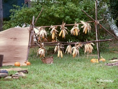p9012798