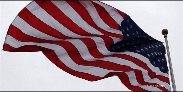 Veteran's Day 2014
